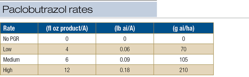 Paclobutrazol annual bluegrass