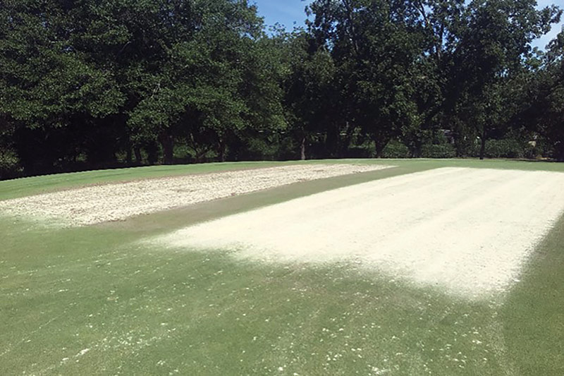 Effects of core recycling vs. conventional aerification practices Recycling cores turfgrass