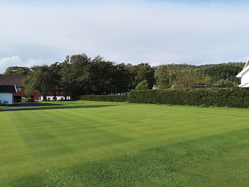 Scangreen trial area