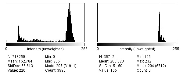 Histogram analysis of Champion turf