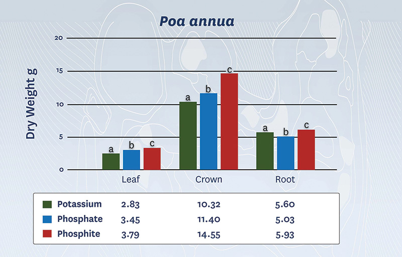 Figure 2 top half