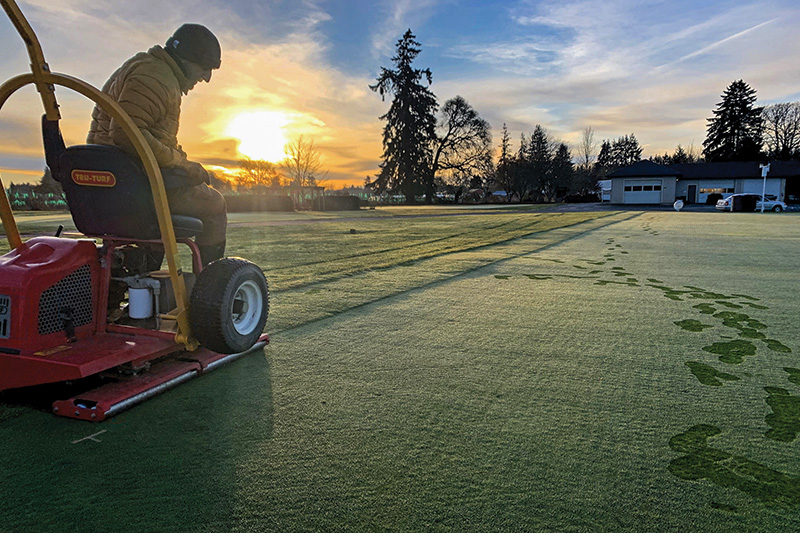 cart path traffic on frost-covered golf course turf