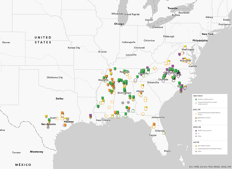 Map of resistant poa populations