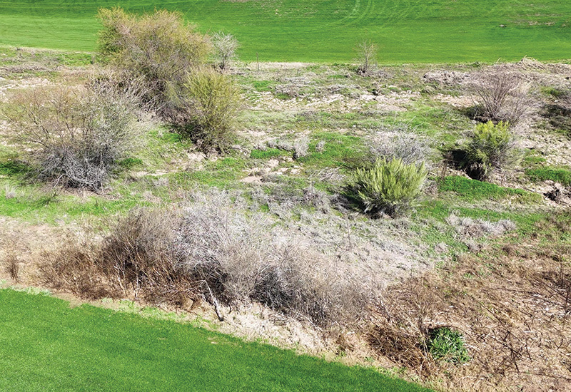 Aerial view of Ghost Creek golf course