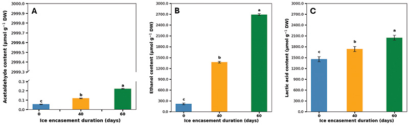 Aerial view of Ghost Creek golf course