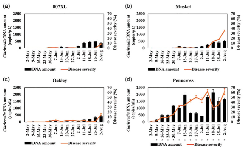 Aerial view of Ghost Creek golf course