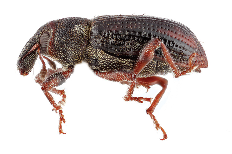 Aerial view of Ghost Creek golf course