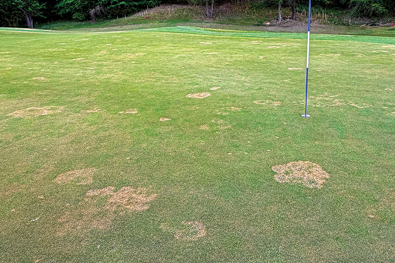Aerial view of Ghost Creek golf course