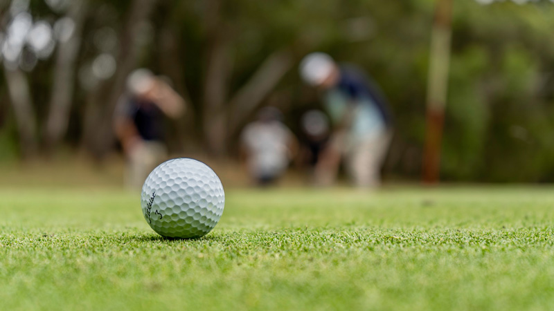 Golf course turf establishment