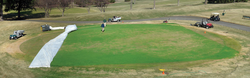 Winter turf damage: The green in the bubble Golf green turf greenhouse