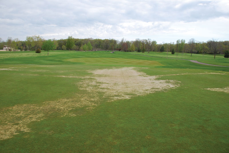 Winter turf damage and turf covers: A guide Crown hydration injury