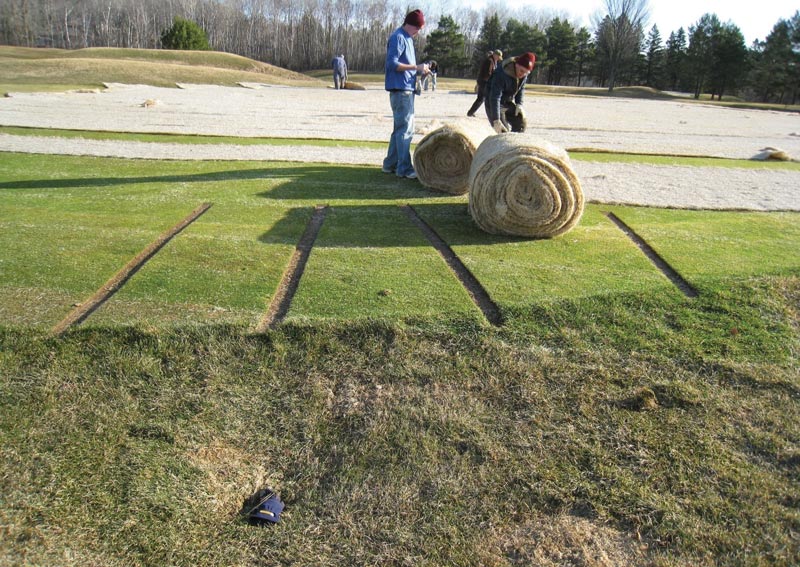 Winter turf damage and turf covers: A guide Excelsior blankets golf