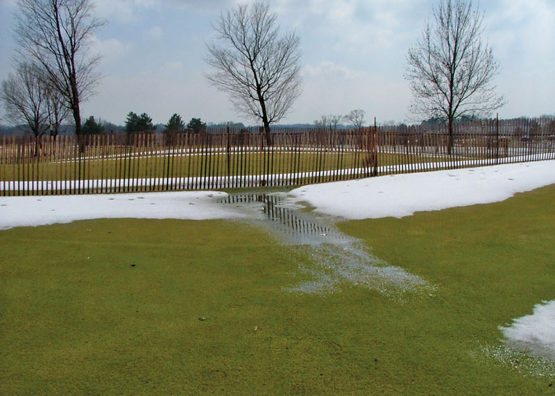 Freezing turf injury