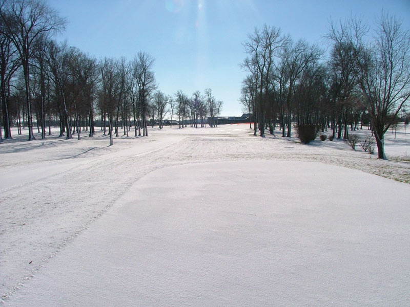 Winter temperature turfgrass