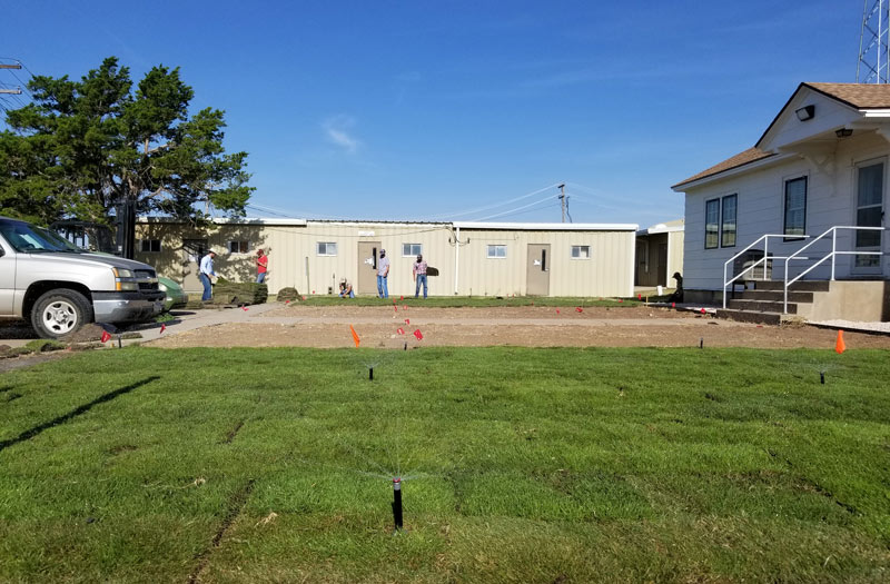 New cold-hardy zoysiagrass varieties Cold-hardy zoysia