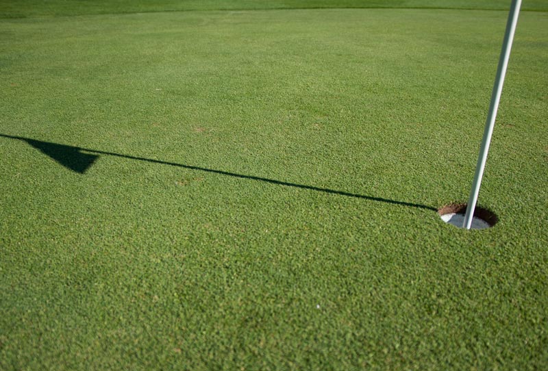GreenKeeper app: Turning research into practice Golf course green