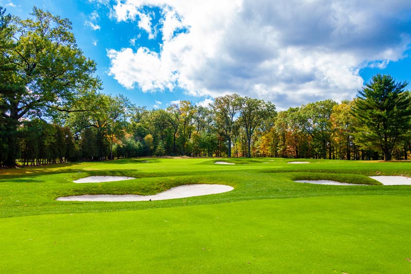 MLSN: A better approach to turf nutrition MLSN turf