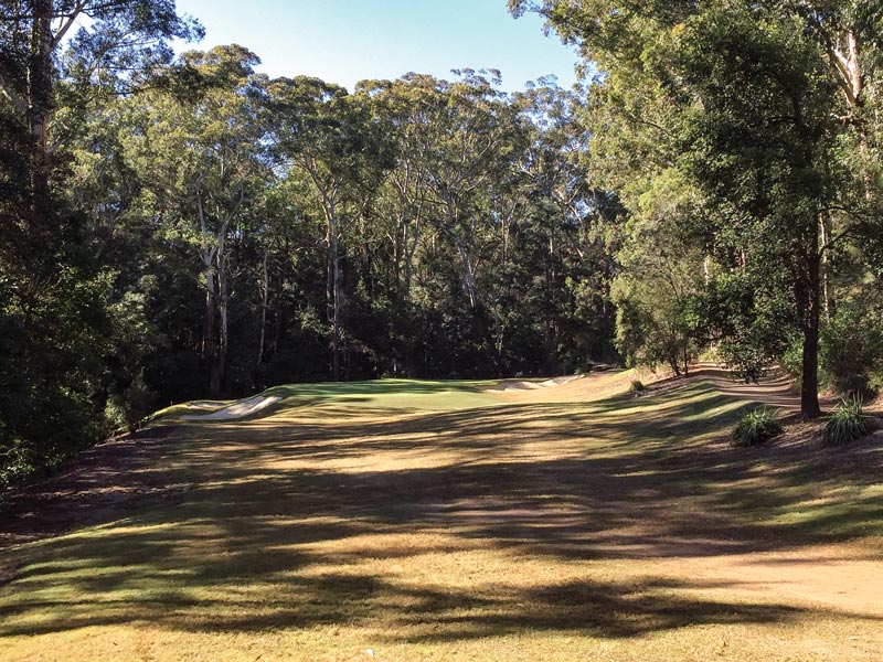 What the tech? Measuring light for healthier turf Turfgrass light requirements