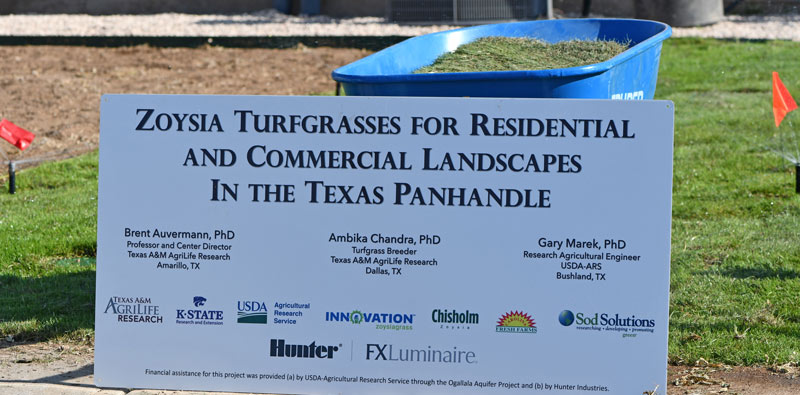 New cold-hardy zoysiagrass varieties Zoysia research