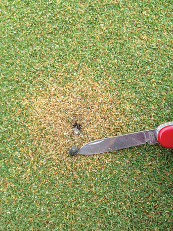 Photo Quiz: Brown circles, tee box damage Fireworks turfgrass damage