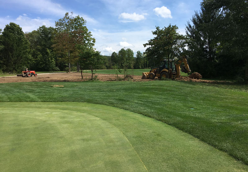 Golf course tree removal