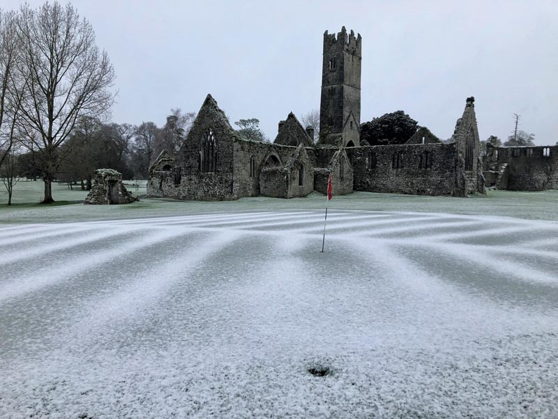 Snow pattern turf