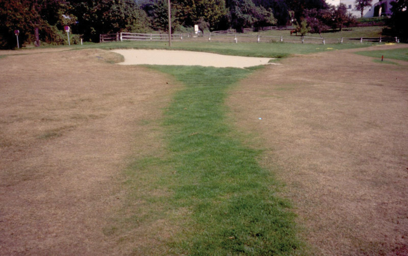 Photo Quiz: Lone green strip of turf, rogue ryegrass Dead fairway turf