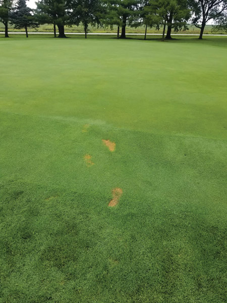 Ghost golf course footprints