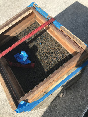 Photo Quiz: Insect infestation, destroyed cart path Golf course beekeeper