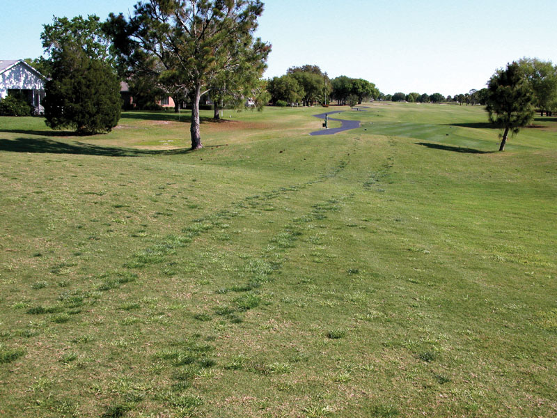 Photo Quiz: Lone green strip of turf, rogue ryegrass Golf course ryegrass fairway