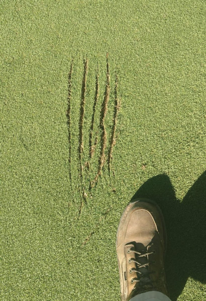 Golf green scratches