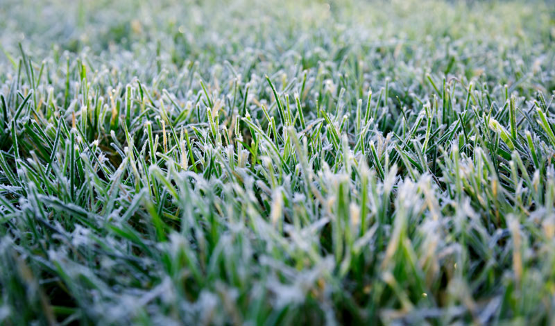 Ice effects golf turf