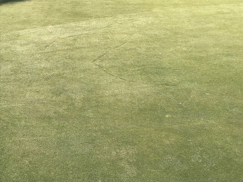 Photo Quiz: Brown patches in bahiagrass, indented lines on green Indented golf green