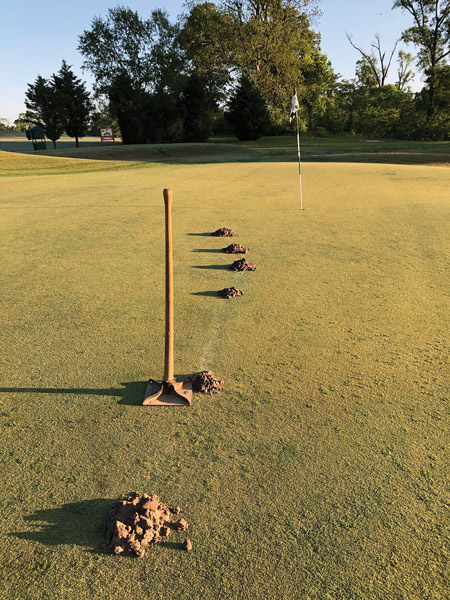 Photo Quiz: Tidy piles of soil, rings on turf Moles golf course green