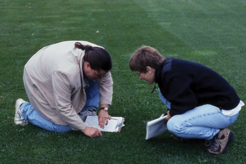 To the Nth degree: Nitrogen mineralization in turfgrass Nitrogen fertilization turfgrass
