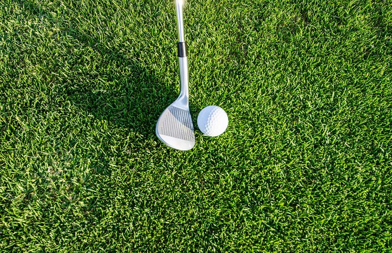 To the Nth degree: Nitrogen mineralization in turfgrass Nitrogen mineralization turfgrass