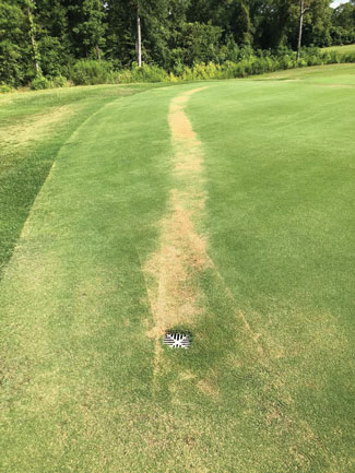 Putting green drain