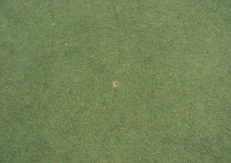 Photo Quiz: Tidy piles of soil, rings on turf Rings on turfgrass