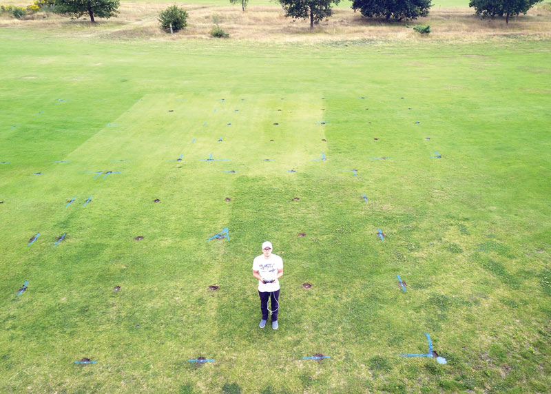 Weed control in turfgrass: Alternatives to conventional herbicides Turf weeds herbicide alternatives