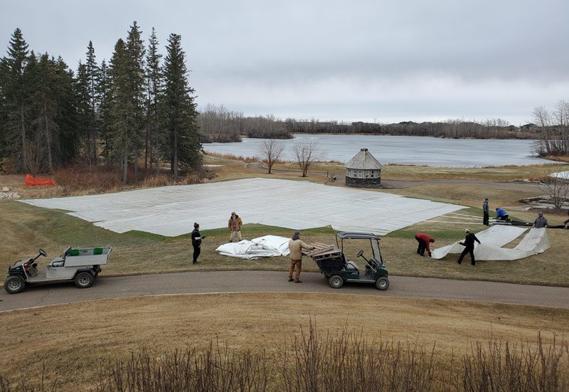 Turfgrass cover winter