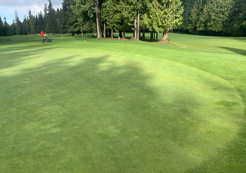 Grow lights on golf greens Capilano Golf Country Club
