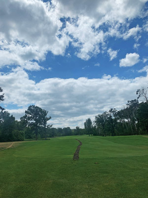 Photo Quiz: Brown line on fairway, ridges on collar Golf course fairway line