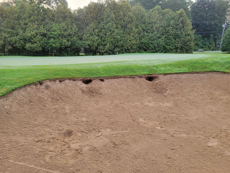 Holes in bunker