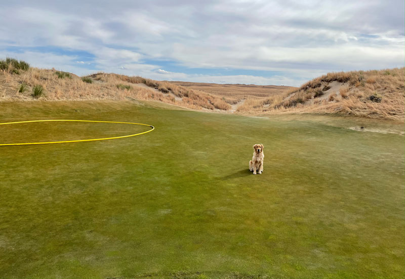 Hydromulch for winter green protection The Prairie Club Dunes Course