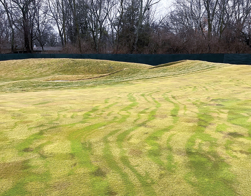 Photo Quiz: Flood remnants, tan patches on green strange brown marks on golf course