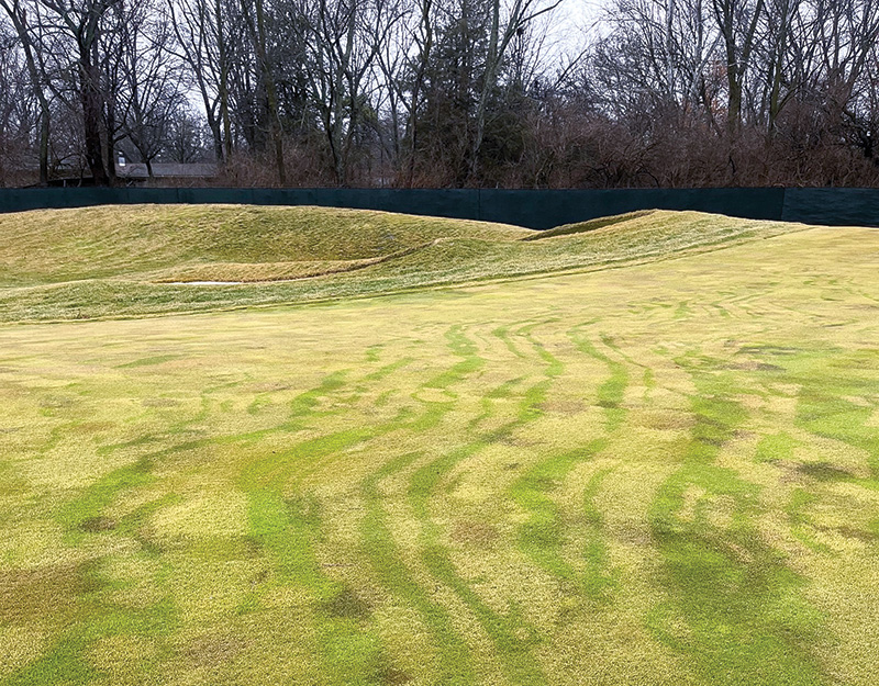 strange brown marks on golf course