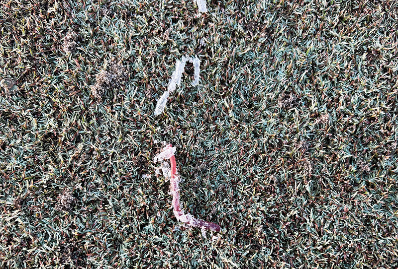 Image of a small pile of pale material next to a putting green collar.