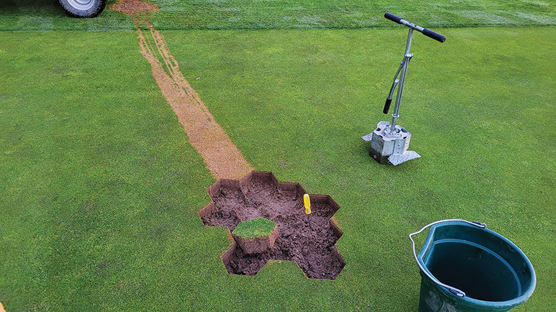 SeaDwarf paspalum putting green