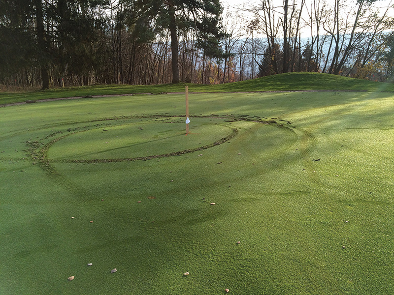 Image of a small pile of pale material next to a putting green collar.