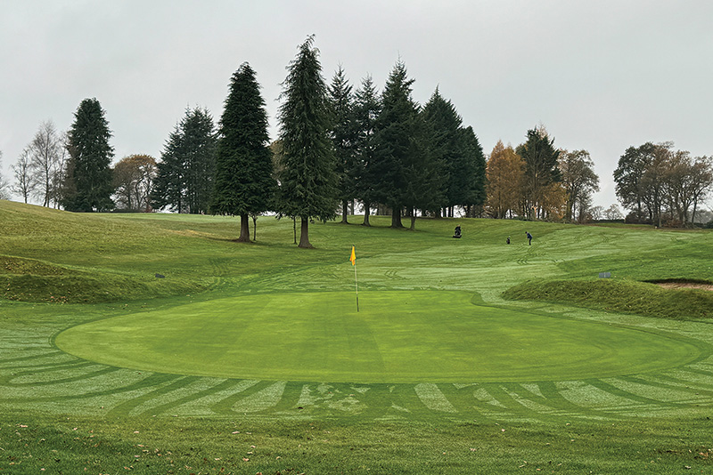 A patch of sprayed turf with a leaf shape on it Small patch of yellow discolored turf within a dark green putting green